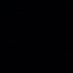 Meet your Posher, Darlene